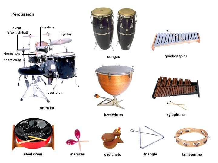 Know Well About the 5 Categories of Instruments & Pick Up The Right Beats!